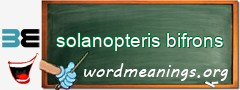 WordMeaning blackboard for solanopteris bifrons